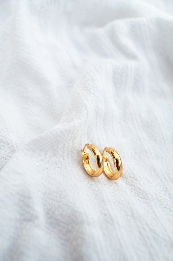 Golden Sabry Earrings