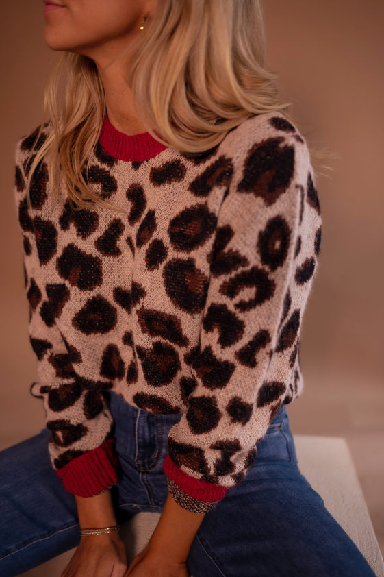 Leopard and Red Riley Sweater