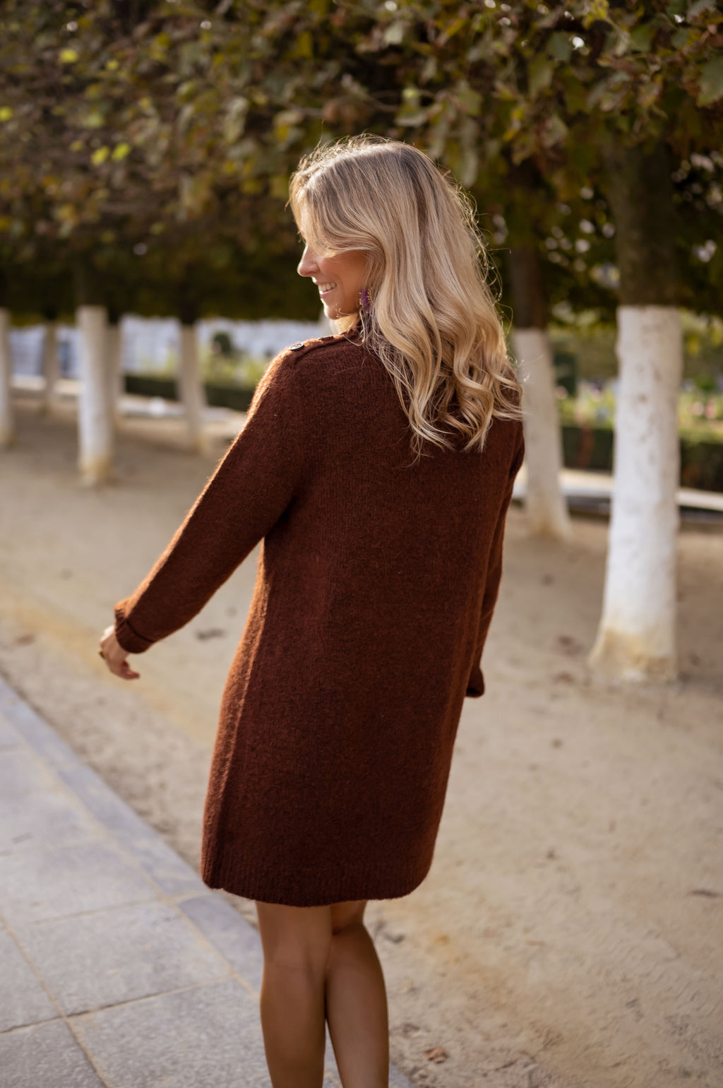 Brown Lelan Dress – Easy Clothes North America