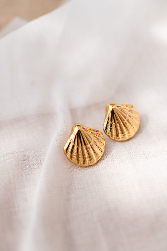 Golden Shell Earrings