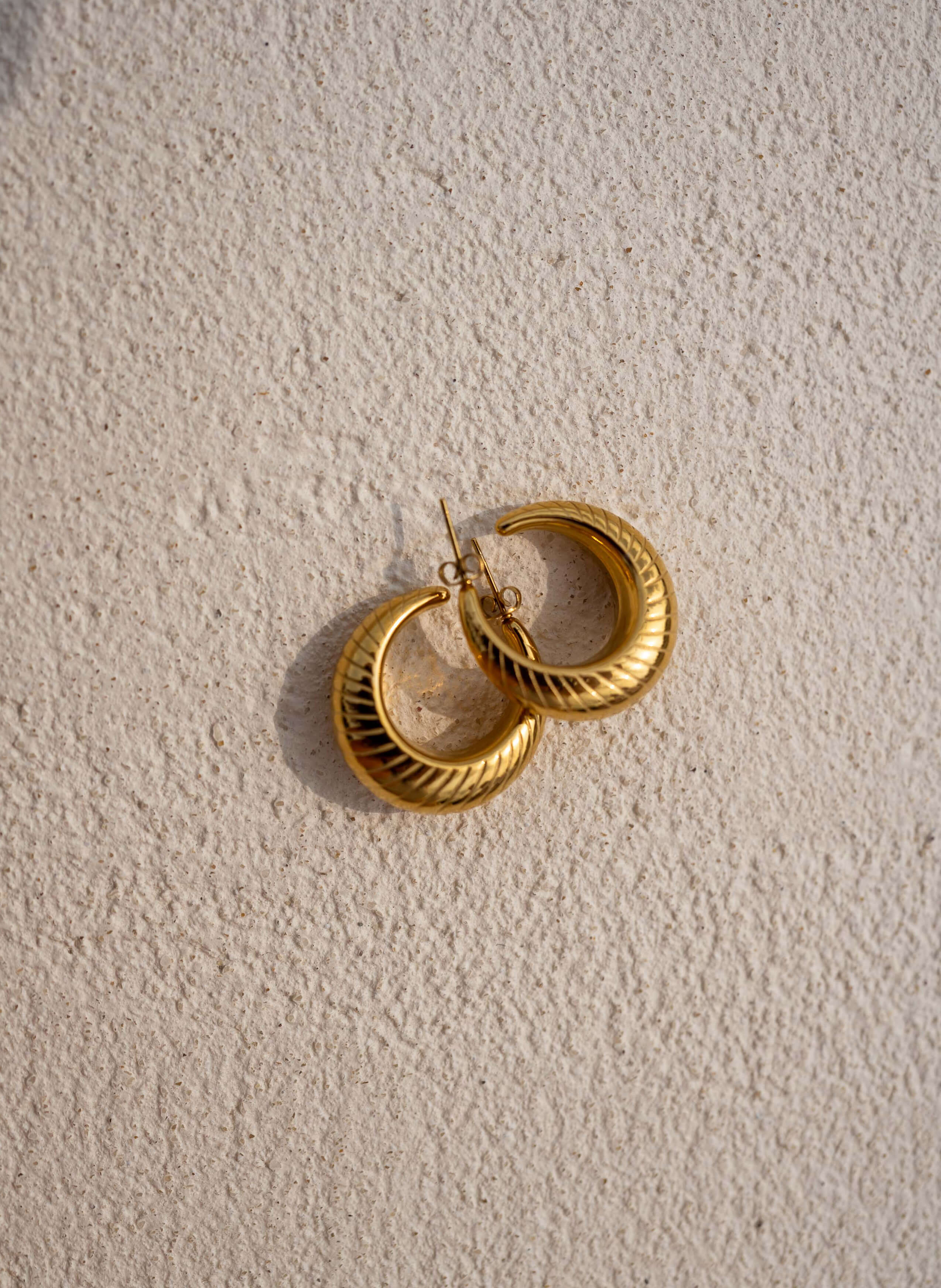 Golden Elonie Earrings