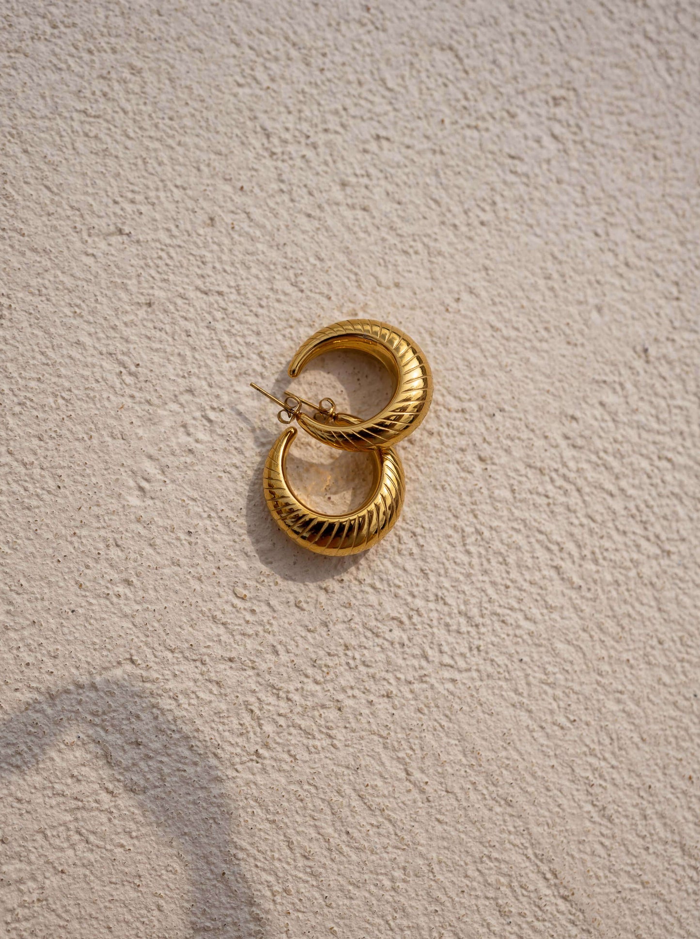 Golden Elonie Earrings