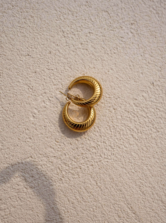 Golden Elonie Earrings