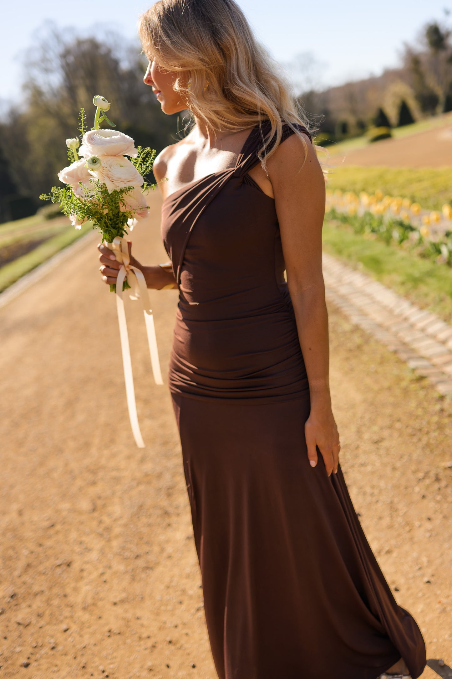 Chocolate Alanis Dress