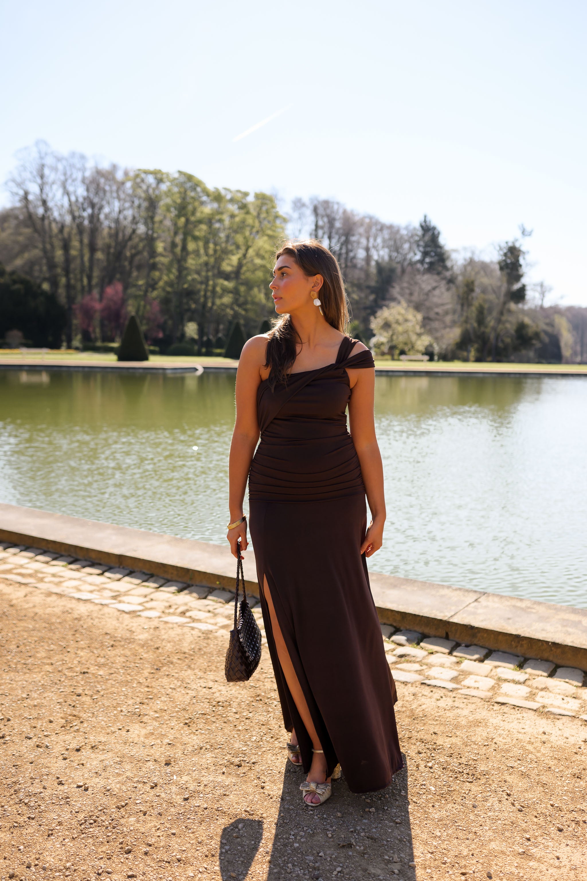 Chocolate Alanis Dress