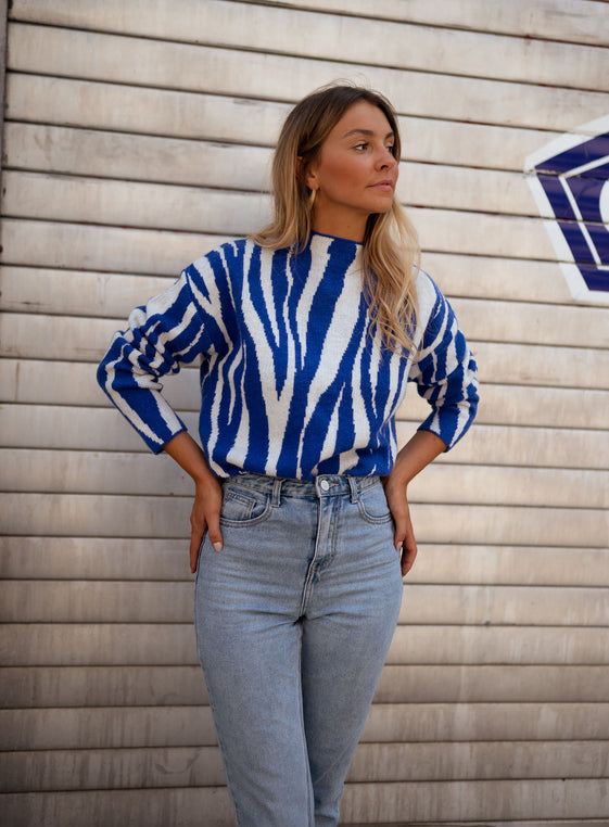 Blue Amine Zebra Sweater