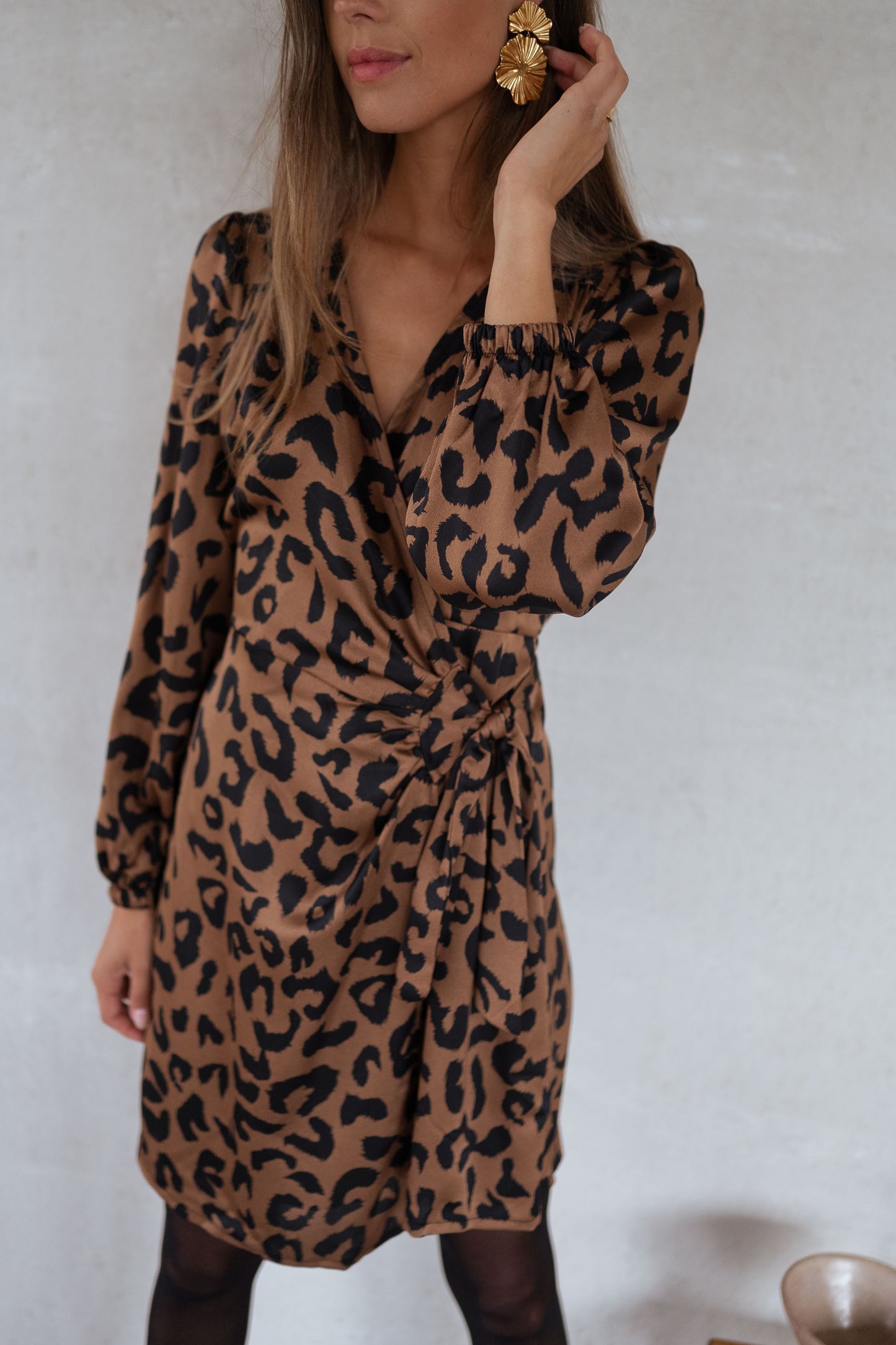 Leopard Verone Dress