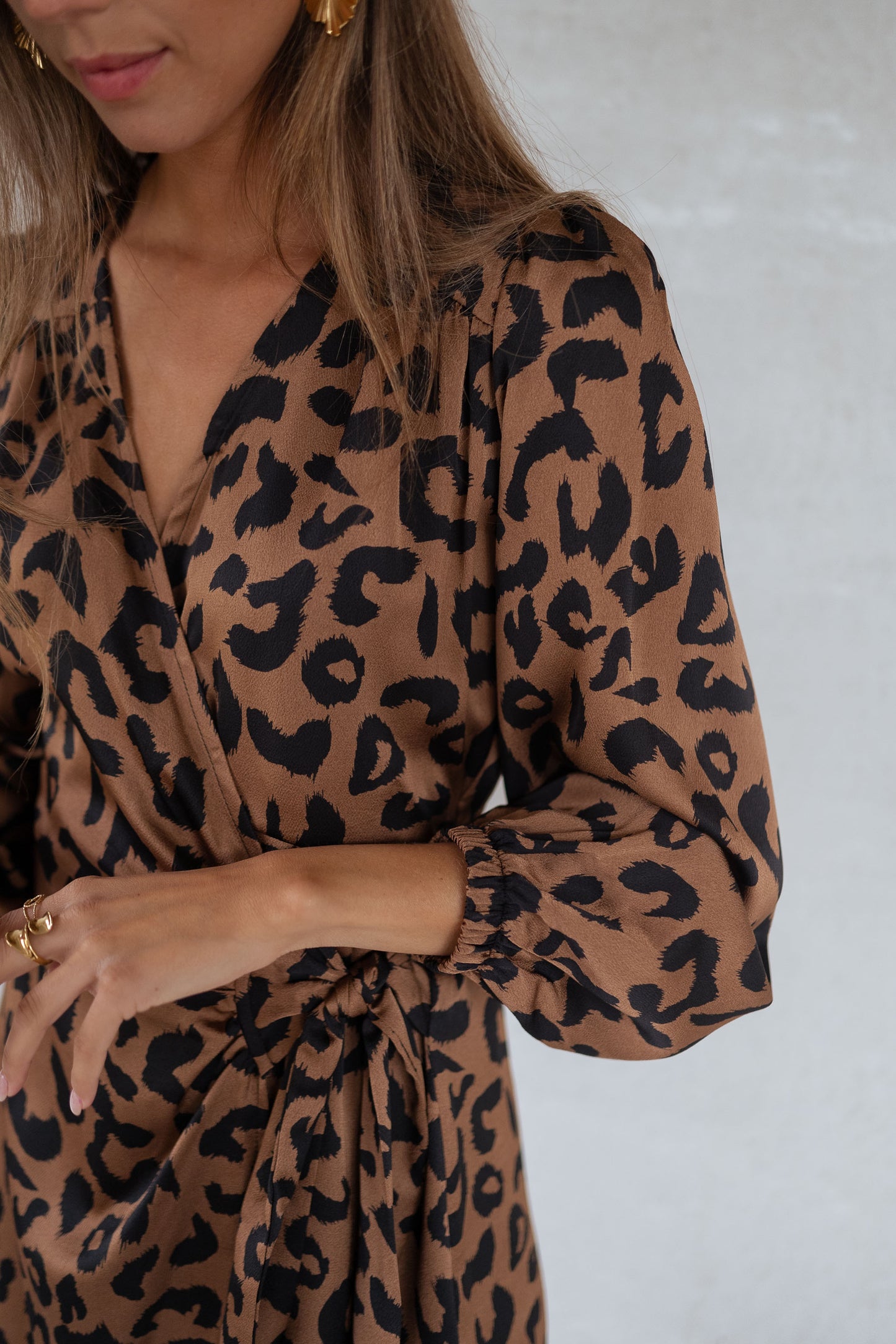 Leopard Verone Dress